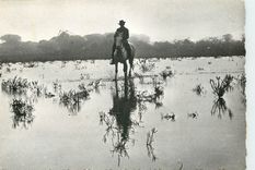 CPSM La Camargue Saintes Maries de la Mer dans les Marais