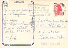 CPSM Fleurs des Alpes Chardons Bleus