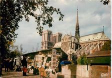CPSM Abside de N D et les Bouquinistes