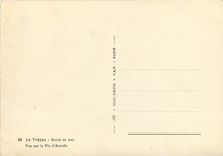 CPSM Le Trayas Bords de mer Vue sur le Pic d'Aurelle