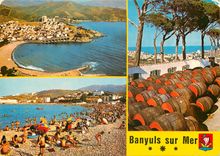 CPSM Banyuls sur Mer (P O) Vue aerienne vue sur la Plage les Hauts lieux du Banyuls et vue sur la Vi