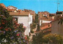 CPSM Banyuls Vieille rue