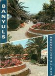 CPSM Banyuls sur Mer (P O) Les nouvelles allees