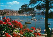 CPSM Charmes et soleil de la Cote d'Azur Bandol Perspective sur le port