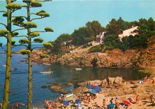 CPSM Une Calanque aux Issambres (Environs de St Raphael)