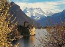 CPSM Chateau de Chillon pres Mortreux lac leman et les Dents du Midi