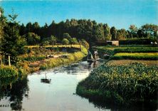 CPSM Amiens (Somme) les Hortilionnages