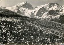 CPSM lieu à identifier