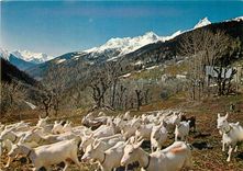 CPSM Paysages de France Alpage