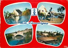 CPSM La Camargue