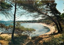 CPSM Ile de Porquerolles (Var) la Plage d'Argent