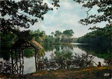 CPSM Le Limousin Pittoresque l'Etang de Ruffauds