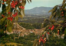CPSM Ceret (Pyr Or) Ville reputee par ses ceristes Vue generale