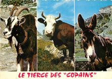CPSM Le Tierce des Copains