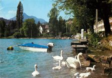 CPSM Lac d'Annecy (Hte Sav) Promenade en famille