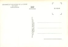 CPSM Charmes et Couleurs de la Corse Evisa Foret d'Aitone