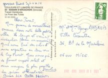 CPSM Bassin d'Arcachon (Gironde) Travail Ostreicole La Pose des Tuiles