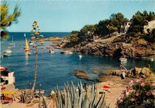 CPSM La Cote d'Azur Varoise Les Calanques Des Issambres (Var)