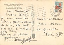 CPSM Nice (A M) Le Port et le Cap de Nice l'arrivee du courrier de Corse