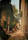 CPSM Cagnes sur Mer (A Mmes) Rue Saint Roch
