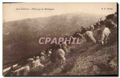 CPA Jura Touriste Paturage en Montagne Moutons
