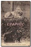 CPA Dole Jura Cours Saint Maurice le Lion 