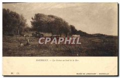 CPA Daubigny Les Greves au Bord de la Mer Musee de longchamp Marseille