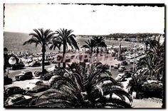 CPA Nice A M La promenade des Anglais et ses magnifiquens palmiers 