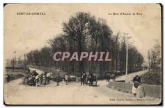 CPA Sury le Comtal Le Bois d'Amour de Sury 