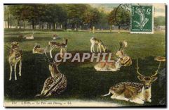 CPA Lyon Le Parc aux Daims