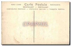 CPA Menton Allee de palmiers 