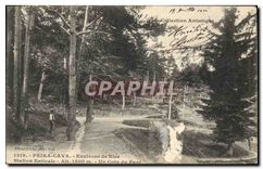 CPA Peira Cava Environs de Nice Station Estivale Un Coin du Parc 