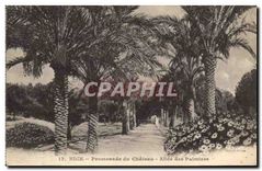 CPA Nice Promenade du Chateau Allee des Palmiers 