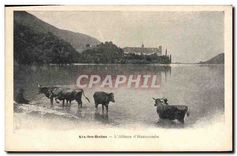 CPA Aix les Bain l'Abbaye d'Hautecombe Vaches