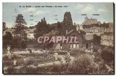 CPA Le Mans Jardin des Plantes Un beau coin 