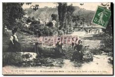 CPA Les Alpes Mancelles St Leonard des Bois 