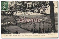 CPA Les Alpes Mancelles Saint Leonard des Bois vue generale 