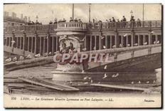 CPA Lyon Les Gracieuses Mouettes Lyonnaises au Pont Lafayette