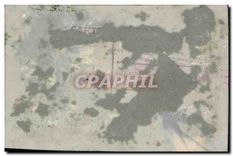 CPA Heureuse Annee Fleurs