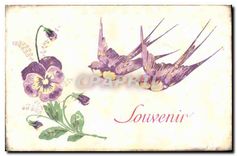 CPA Souvenir Fleurs Hirondelles