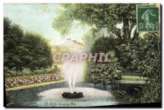 CPA Vichy Un coin du Parc