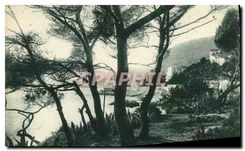 CPA Le Cap d'Ail
