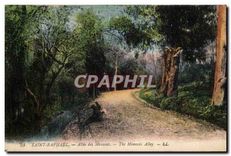 CPA Saint Raphael Allee des Mimosas 