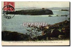 CPA Saint Raphael le Lion de Terre et le Lion de Mer vue de la route Nice 