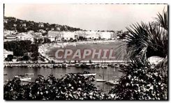 CPA La Cote d'Azur Cannes le port et les grands hotels 