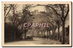 CPA Nos Plus Jolis Sites la Region d'Auvergne sur la Route de Saint Flour Automobile Chien