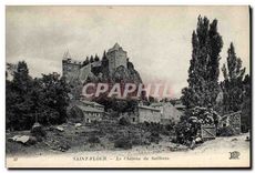 CPA Saint Flour Le Chateau du Sailhans 