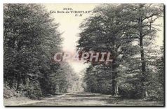 CPA Les Bois de Viroflay 