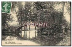 CPA Le Vesinet La Paaserelle du Grand Lac 