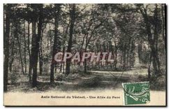 CPA Asile National du Vesinet Une Allee du Parc 